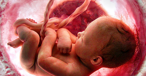 Image result for unborn child