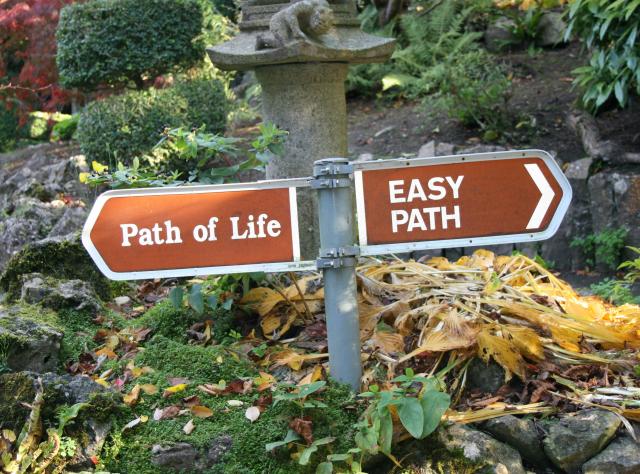 Path Choice